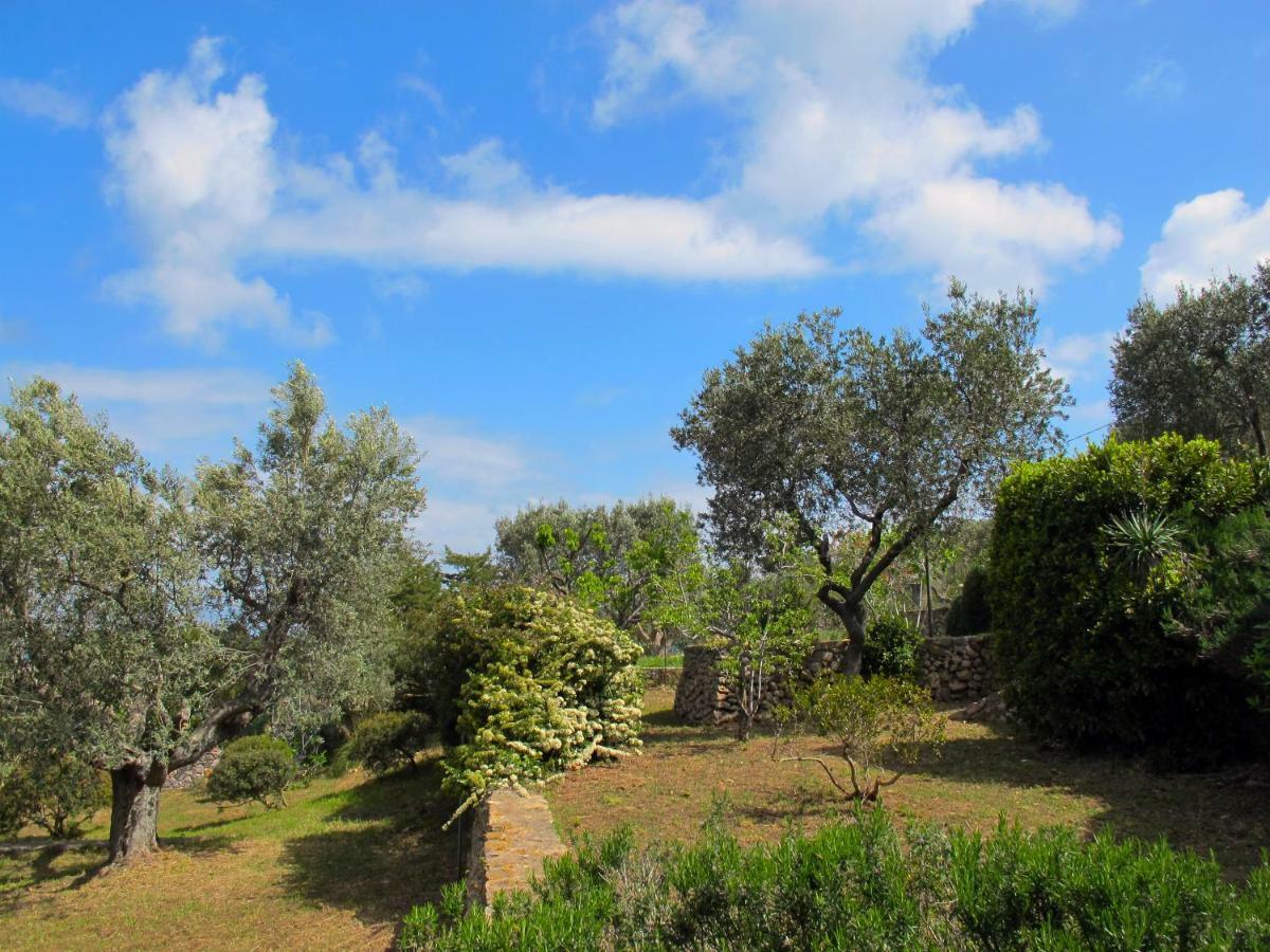 Il Cottage Di Villa Sveva, Splendida Vista Mare Porto Santo Stefano  Buitenkant foto